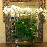 White Flowers in a Gold Vase by Foliage Décor Services